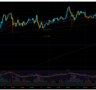 XAU/USD Trend Analysis 13/02/2026