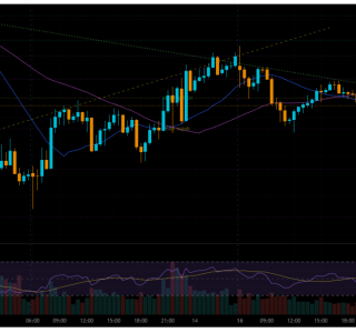 XAU/USD Trend Analysis 17/02/2026
