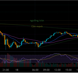 XAU/USD Trend Analysis 19/02/2026