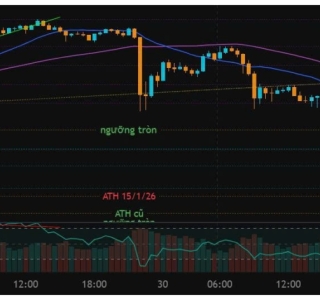 XAU/USD Trend Analysis 02/02/2026