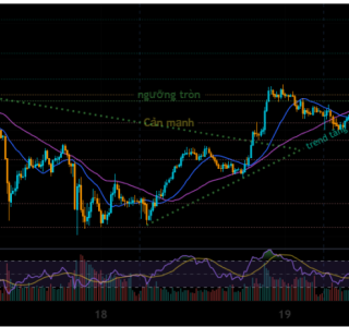 XAU/USD Trend Analysis 20/02/2026