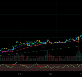 XAU/USD Trend Analysis 24/02/2026