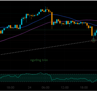 XAU/USD Trend Analysis 25/02/2026