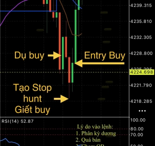 Chiêu độc tạo Stop hunt