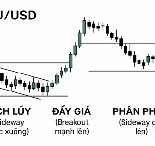 Sideways xuống và lên