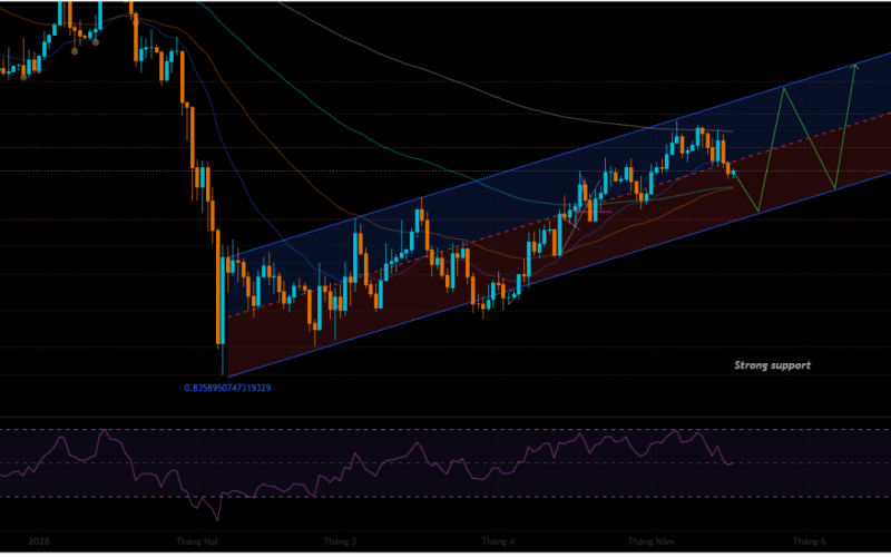 BTC Weekly Analysis (18/5/2026 - 24/5/2026)